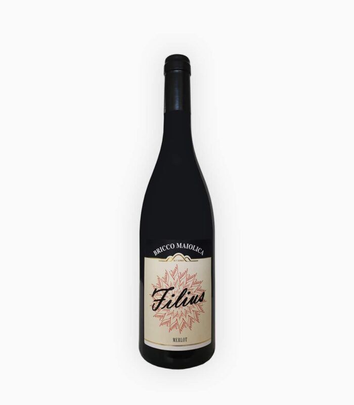 BRICCO MAIOLICA FILIUS LANGHE MERLOT DOC